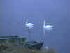 lago_6.jpg (190789 byte)